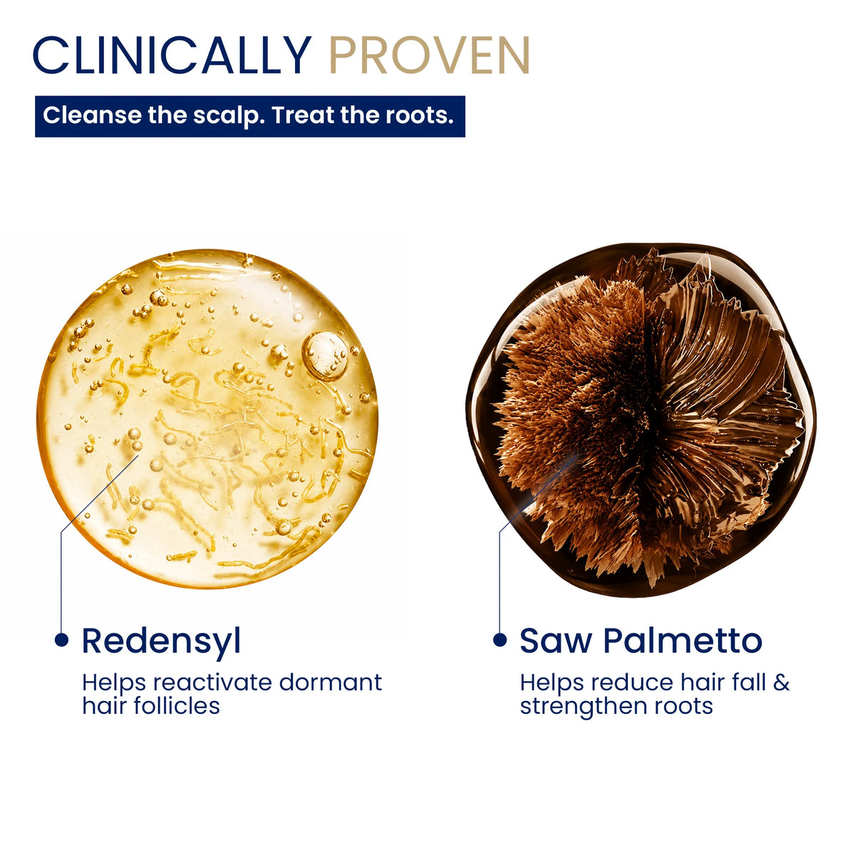 Graphic showcasing active ingredients Redensyl and Saw Palmetto for scalp cleansing and root treatment.